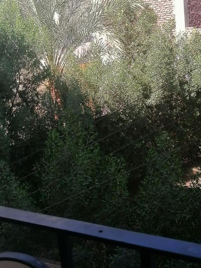 Winter Guest House Luxor Bagian luar foto