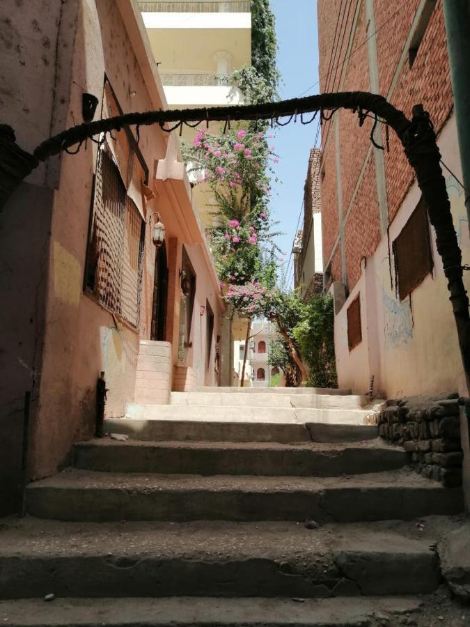 Winter Guest House Luxor Bagian luar foto