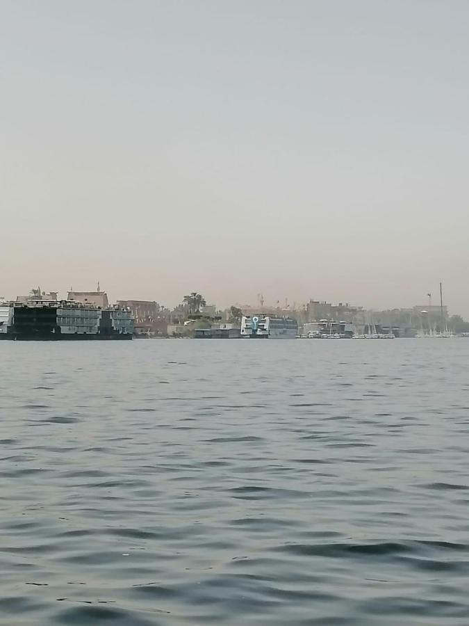 Winter Guest House Luxor Bagian luar foto
