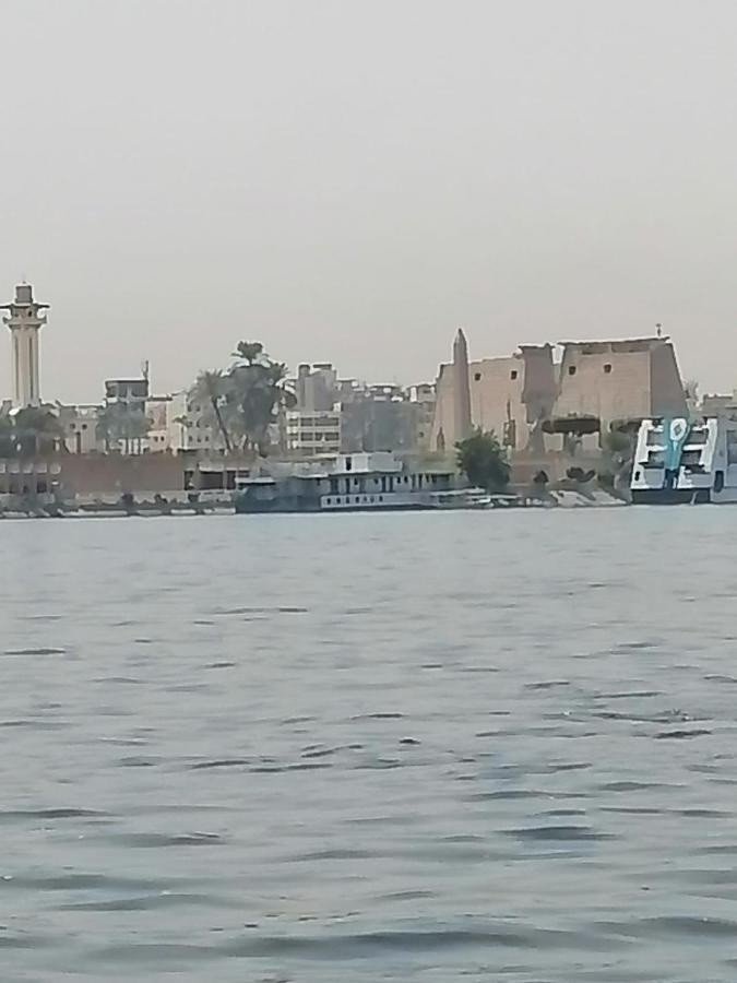 Winter Guest House Luxor Bagian luar foto