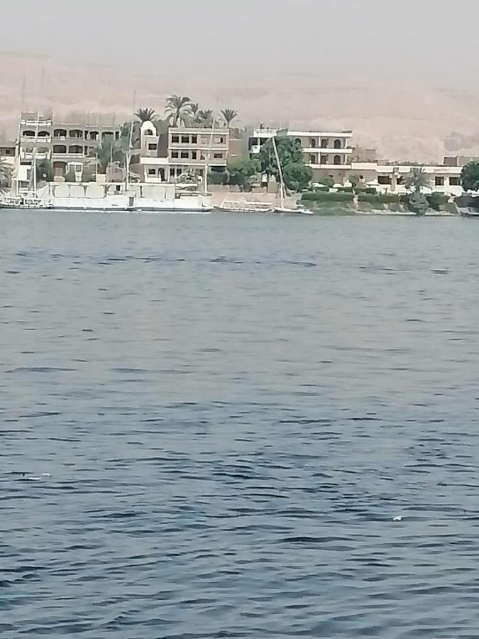 Winter Guest House Luxor Bagian luar foto